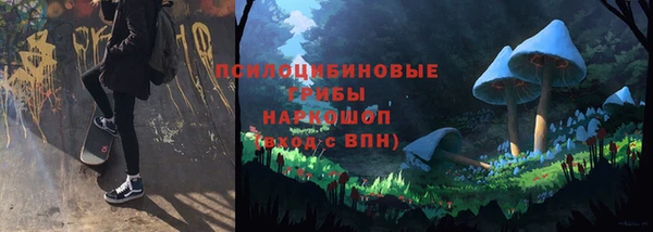 ПСИЛОЦИБИНОВЫЕ ГРИБЫ Гусев