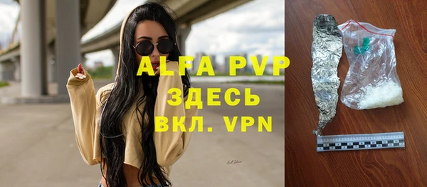 ПСИЛОЦИБИНОВЫЕ ГРИБЫ Гусев