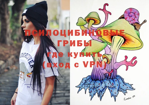 трава Гусиноозёрск