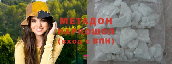 ПСИЛОЦИБИНОВЫЕ ГРИБЫ Гусев