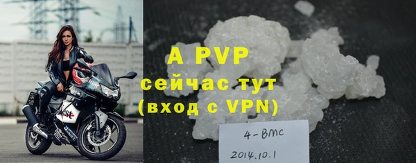 ПСИЛОЦИБИНОВЫЕ ГРИБЫ Гусев