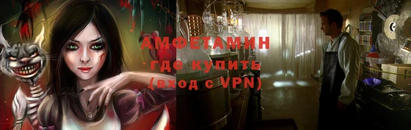 трава Гусиноозёрск