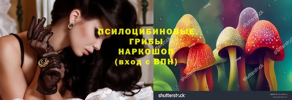 трава Гусиноозёрск