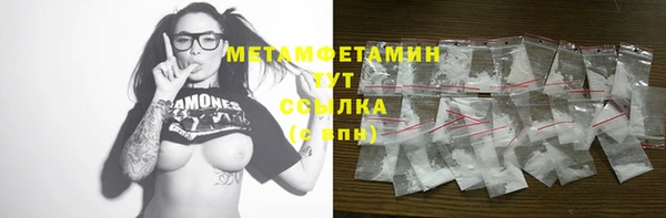 трава Гусиноозёрск