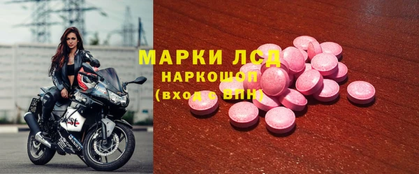 трава Гусиноозёрск