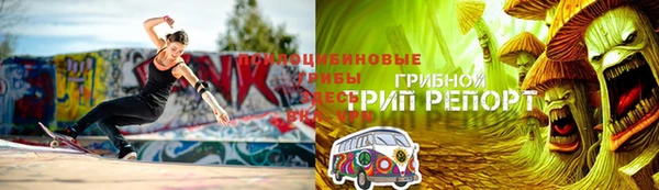 спиды Гусь-Хрустальный