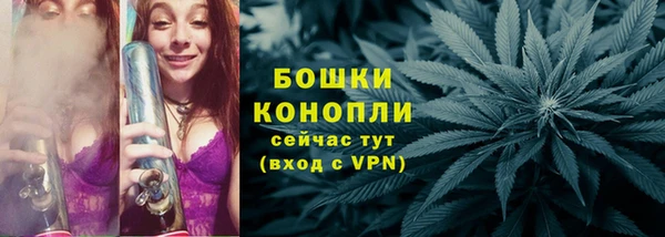 трава Гусиноозёрск